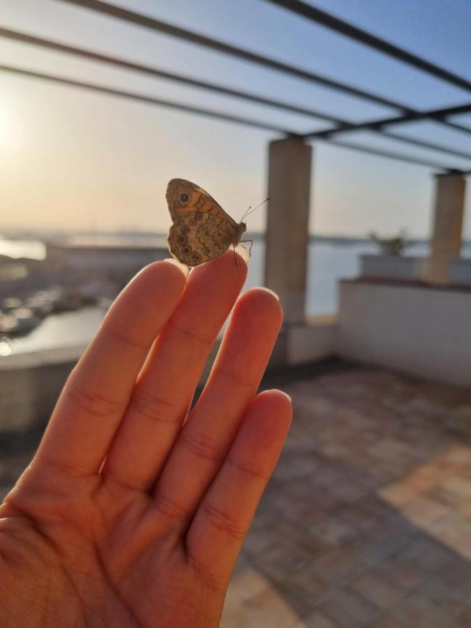 Villa Sul Molo Tra Siracusa E Catania 奥古斯塔 外观 照片