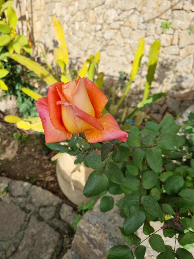 Villa Sul Molo Tra Siracusa E Catania 奥古斯塔 外观 照片